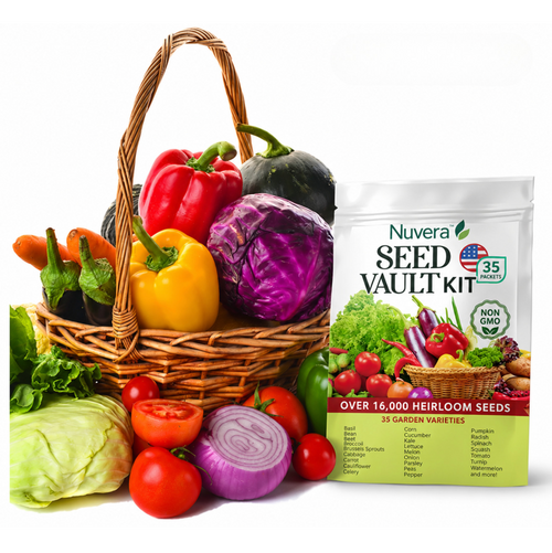 Naxiohq® Seed Vault Kit - 35 Variety Pack